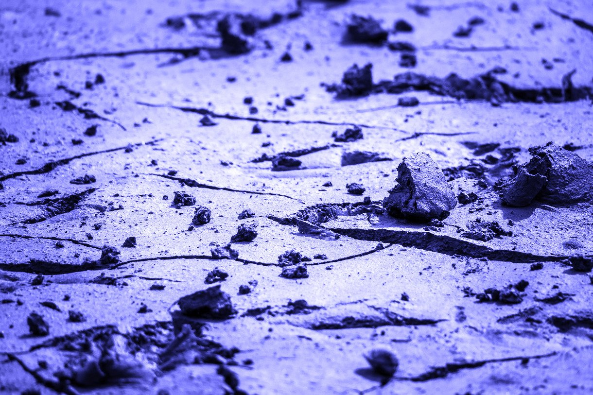 Muddy Litigation