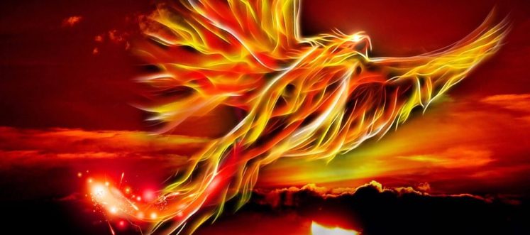 What is a phoenix company?