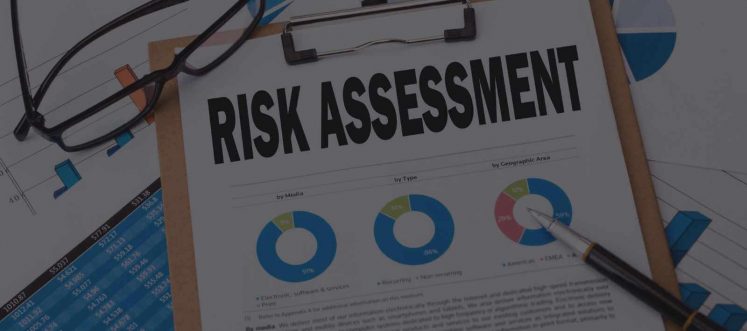 Bounce Back Loan Risk Assessment
