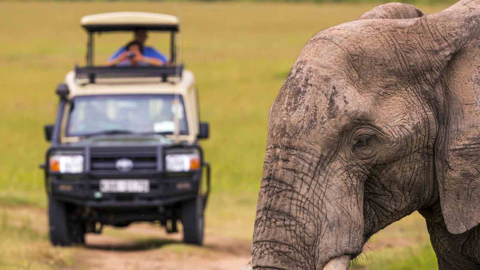 accountant in africa