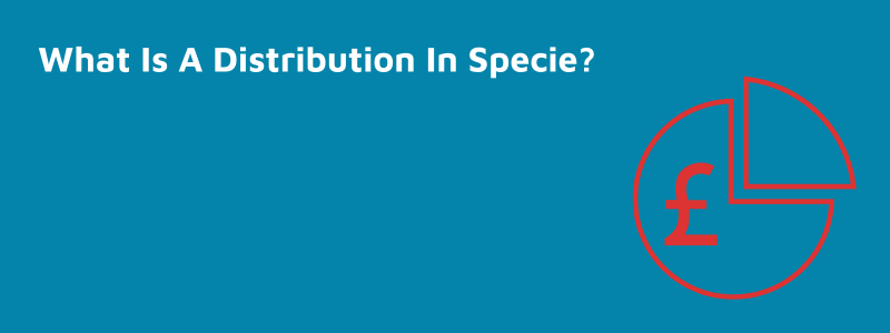 What Is A Distribution In Specie?