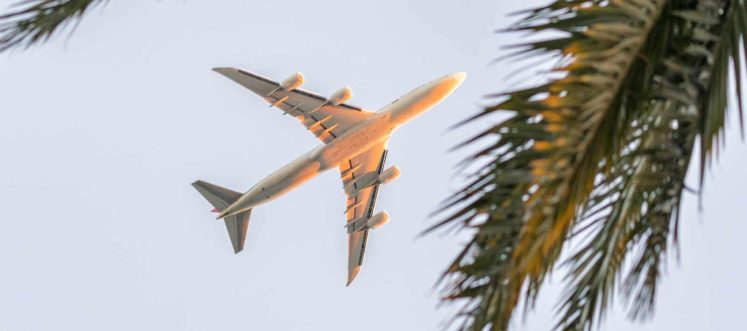 Travel Agent Hit With Director Disqualification Compensation Order