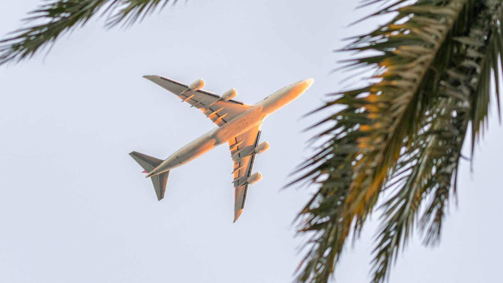 Travel Agent Hit With Director Disqualification Compensation Order
