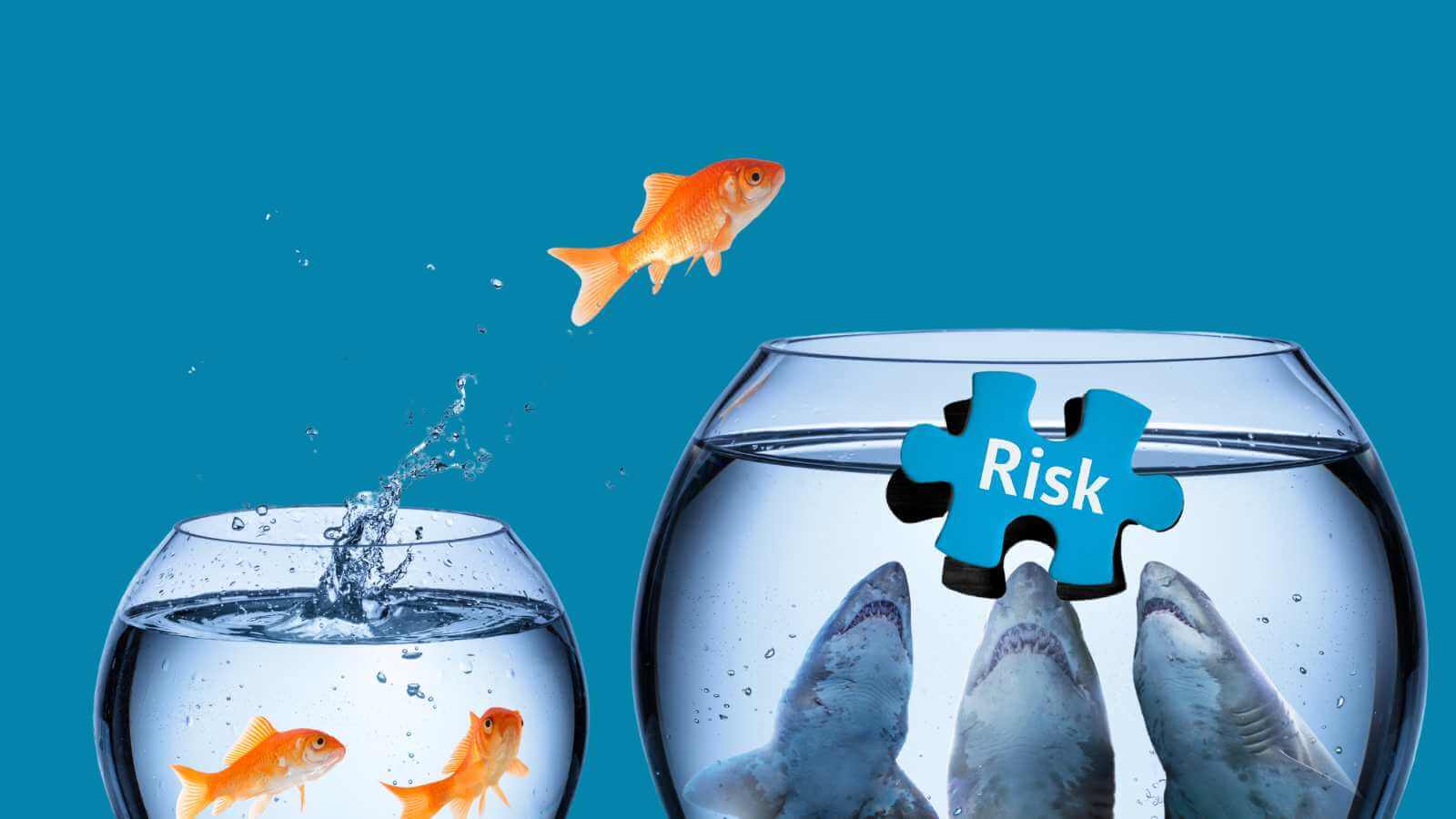 Can I Use A Bounce Back Loan To Pay Dividends?