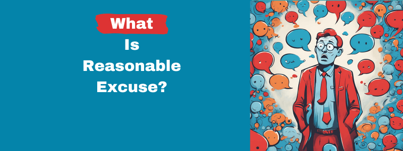 What is reasonable excuse?