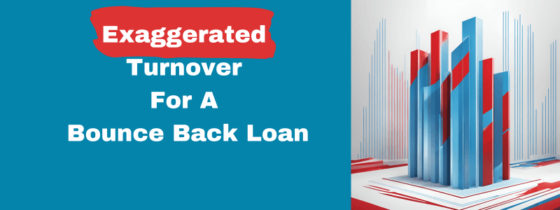 Exaggerated Turnover For A Bounce Back Loan